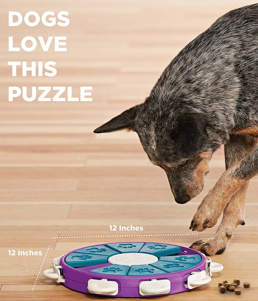 save the dog puzzle game